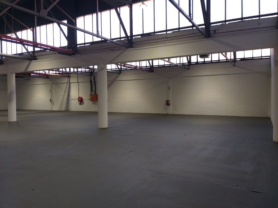 To Let Commercial Property for Rent in Paarden Eiland Western Cape